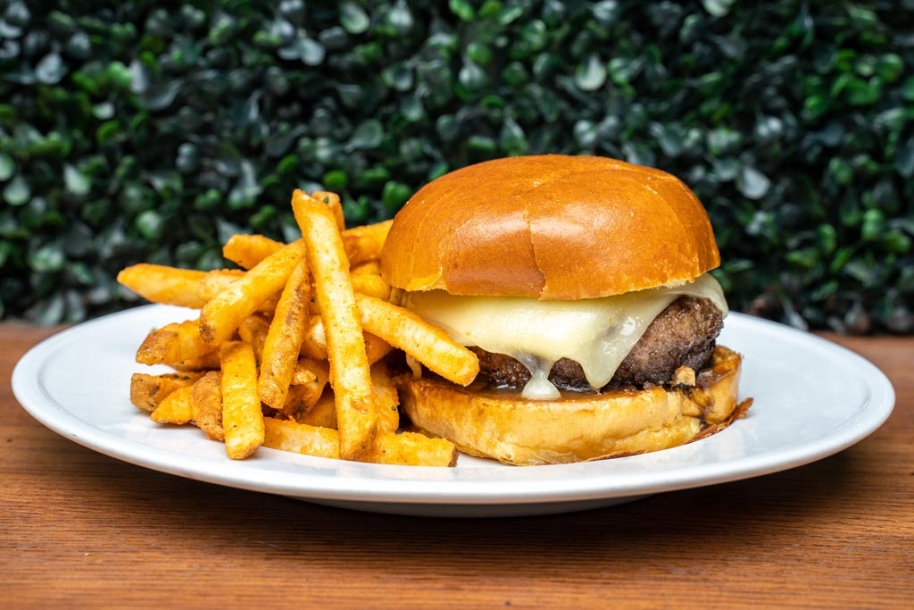 Burger and Fries